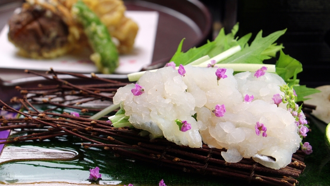 【リピーター】必見！お料理は料理長にお任せ！旬の海の幸や山の幸をかめやで堪能♪